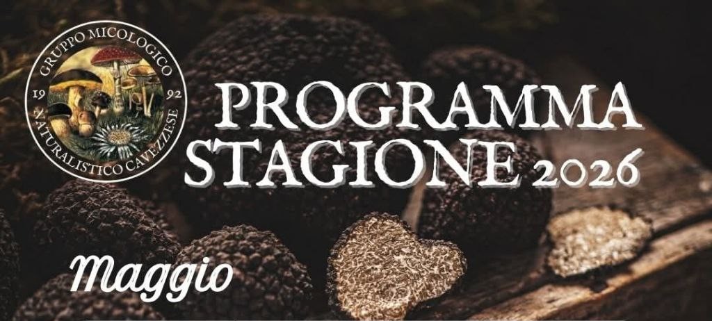 Dal 4 Maggio a Cavezzo - Programma del 