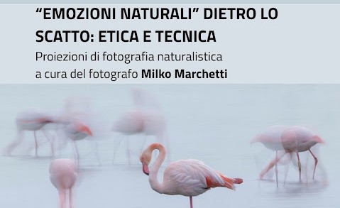 15 Maggio a San Martino Spino - 
