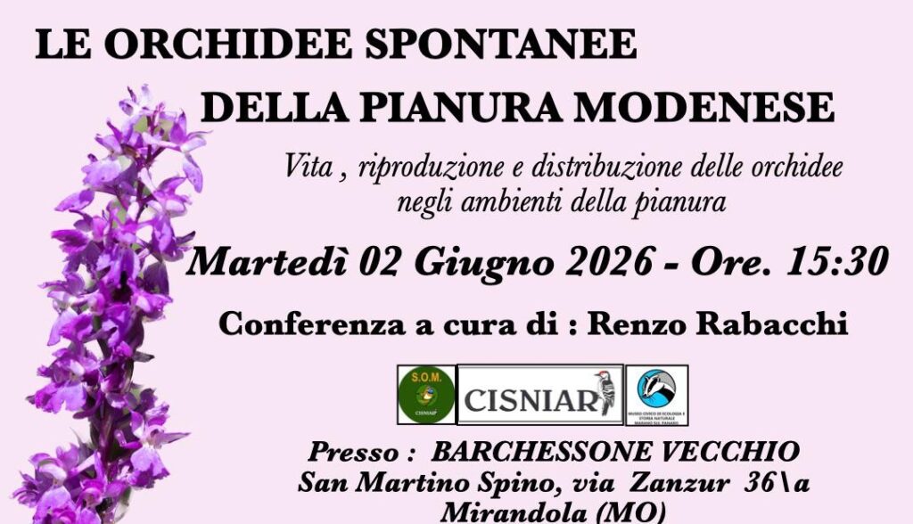 2 Giugno a San Martino Spino - Conferenza 