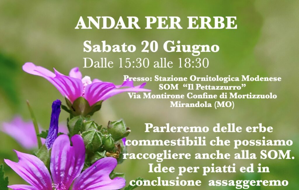 20 Giugno - La S.O.M. Il Pettazzurro vi invita ad 
