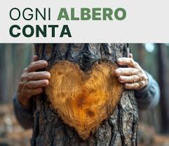 Nel Consiglio Comunale di Mirandola del 17 giugno 2026, tenutosi nello storico municipio di Piazza Costituente (recentemente inaugurato), è stata discussa la petizione promossa e sostenuta dai cittadini mirandolesi........