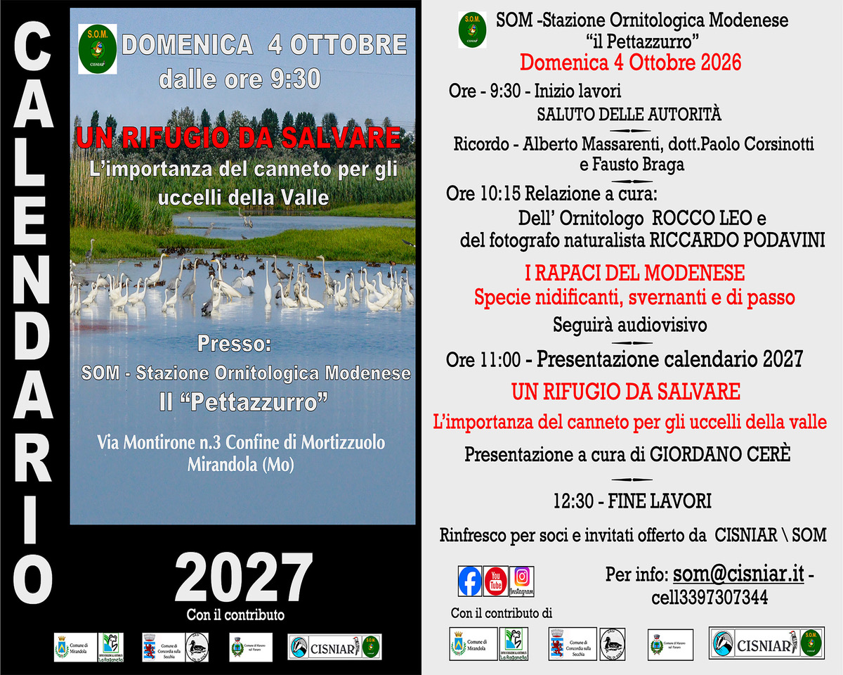VolantinoFestadellaSOM2026 (1)