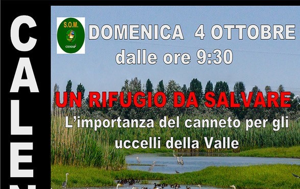 La Stazione Ornitologica Modenese presenta il nuovo calendario