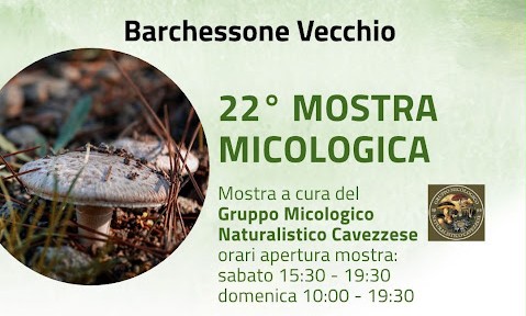 Per la rassegna 